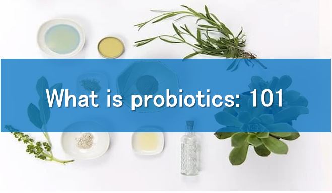 What is probiotics: 101