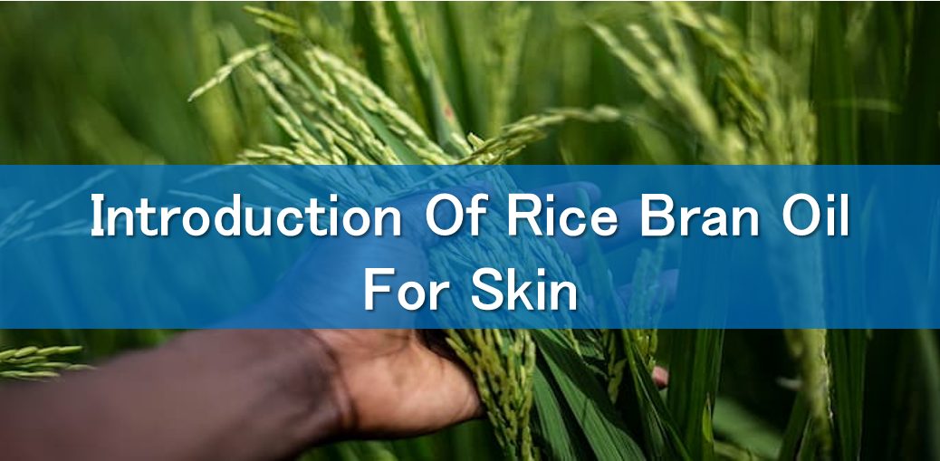 What Is Rice Bran Oil? Uses, Smoke Point, and More
