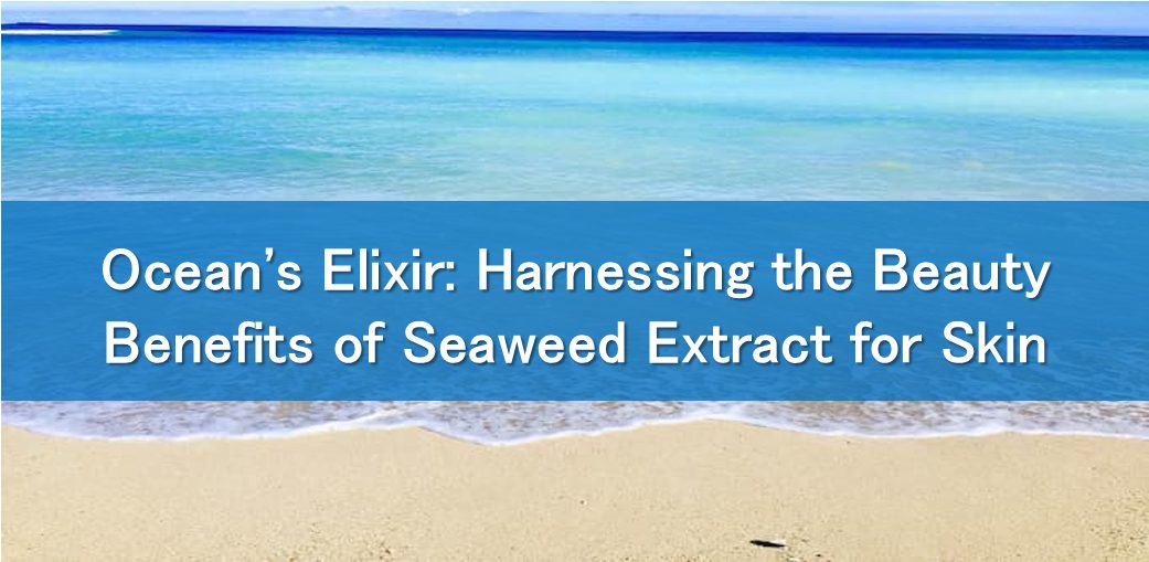 Ocean’s Elixir: Harnessing the Beauty Benefits of Seaweed Extract for Skin