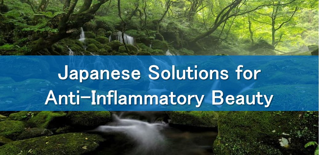 Japanese Solutions for Anti-Inflammatory Beauty
